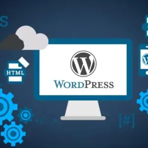 12.webp