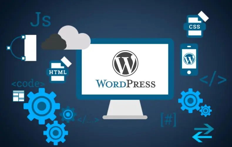 12.webp