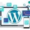 17.webp