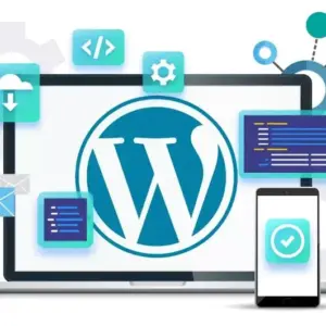 17.webp